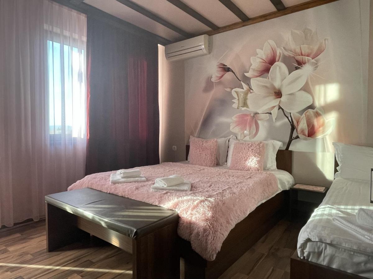 Asya Guest House Saparewa Banja Zewnętrze zdjęcie